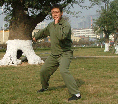 中华武术八极拳