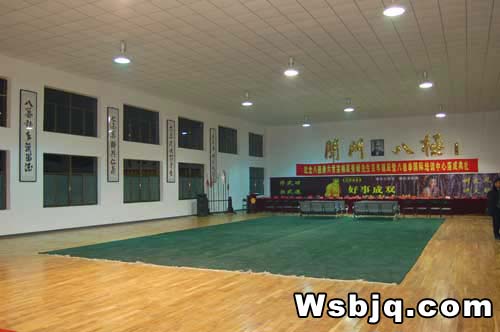 中华武术八极拳