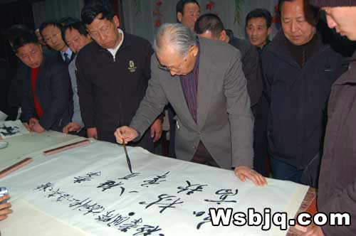 中华武术八极拳