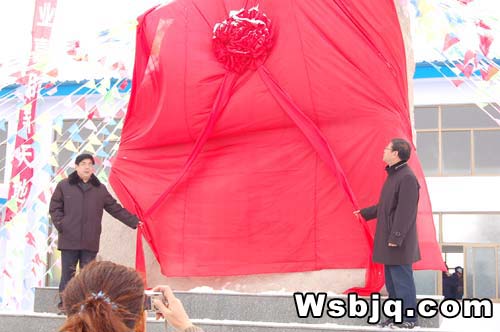 中华武术八极拳