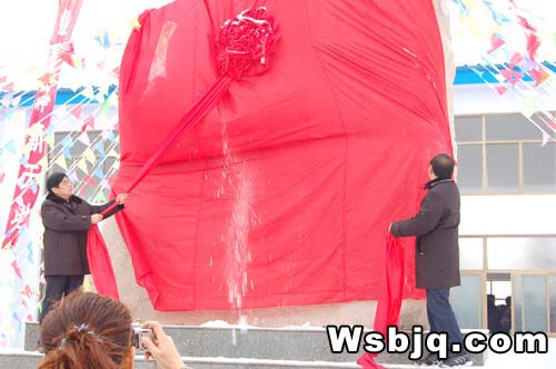 中华武术八极拳