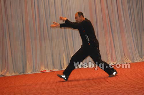 中华武术八极拳