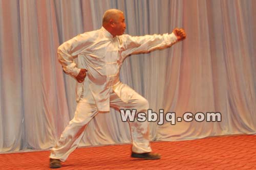 中华武术八极拳