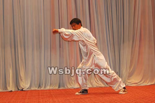 中华武术八极拳