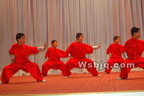 中华武术八极拳