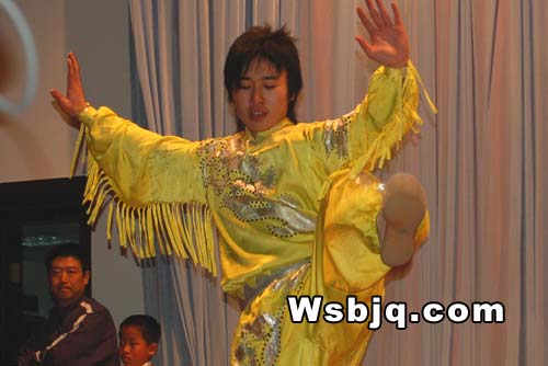 中华武术八极拳