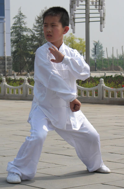 中华武术八极拳