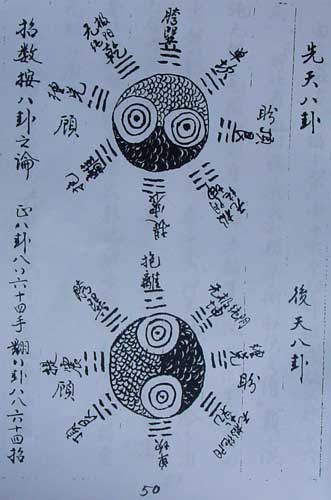 中华武术八极拳