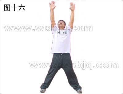 中华武术八极拳