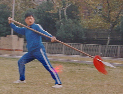 中华武术八极拳