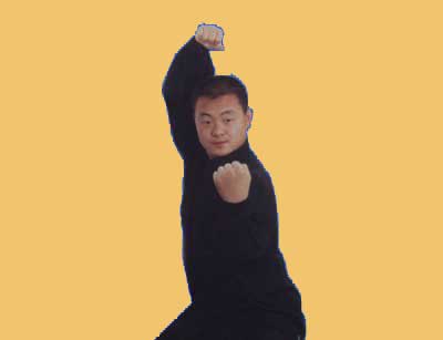 中华武术八极拳