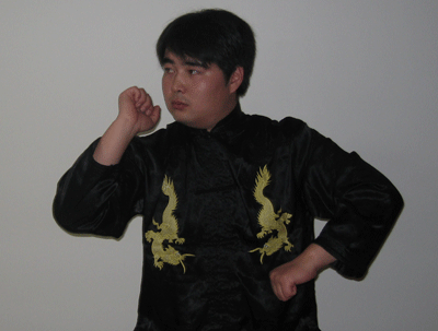 中华武术八极拳