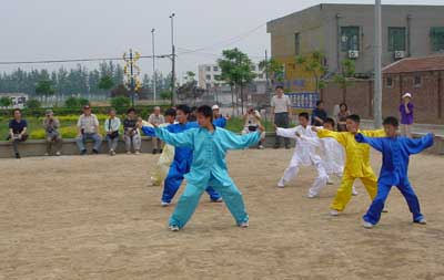 中华武术八极拳