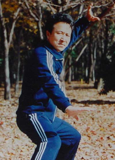 中华武术八极拳