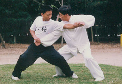 中华武术八极拳