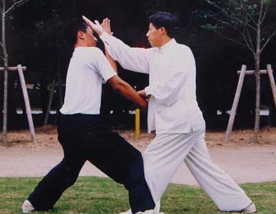 中华武术八极拳