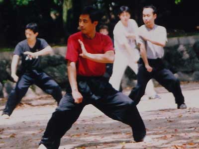 中华武术八极拳