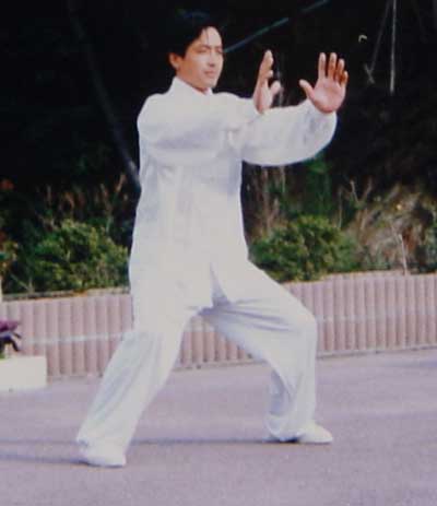 中华武术八极拳