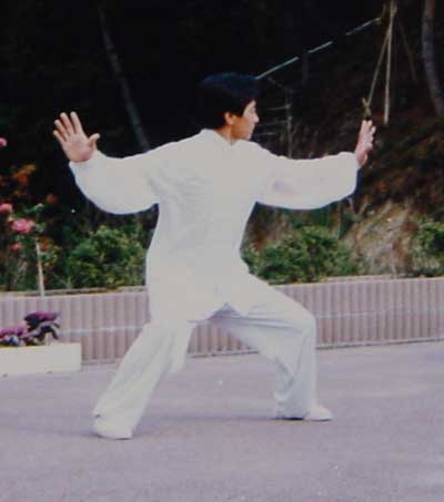 中华武术八极拳