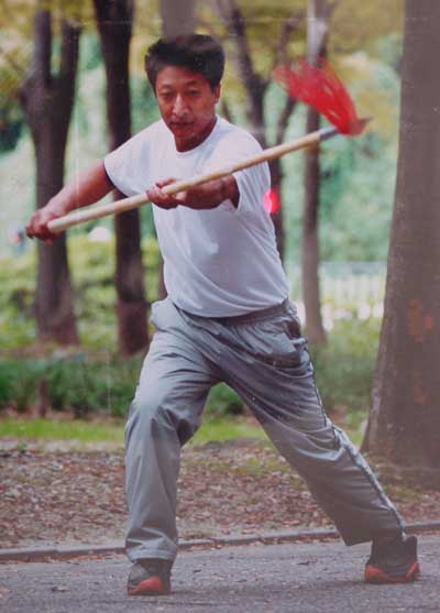 中华武术八极拳