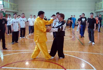 中华武术八极拳