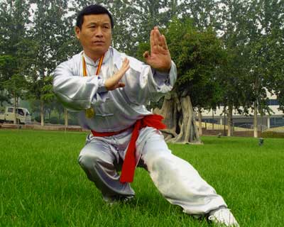 中华武术八极拳