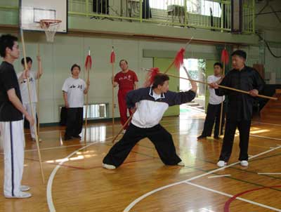 中华武术八极拳