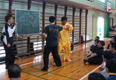 中华武术八极拳