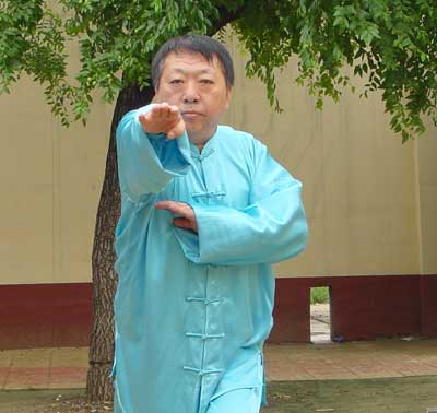 中华武术八极拳