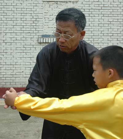 中华武术八极拳