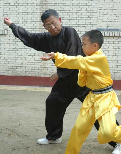 中华武术八极拳