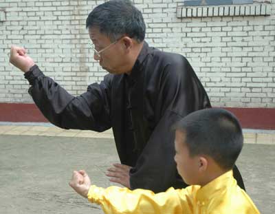 中华武术八极拳