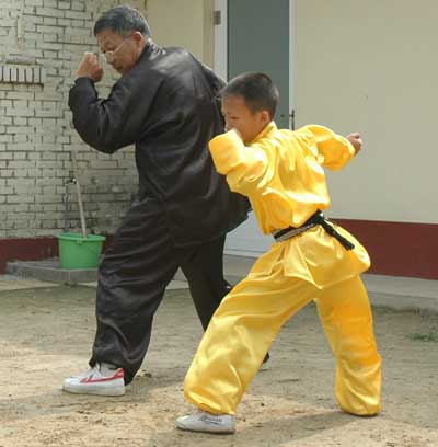 中华武术八极拳