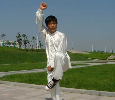 中华武术八极拳