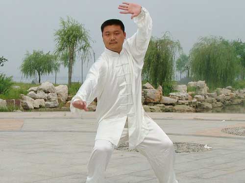 中华武术八极拳