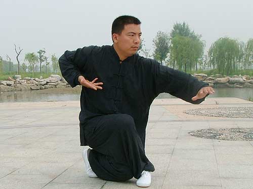 中华武术八极拳