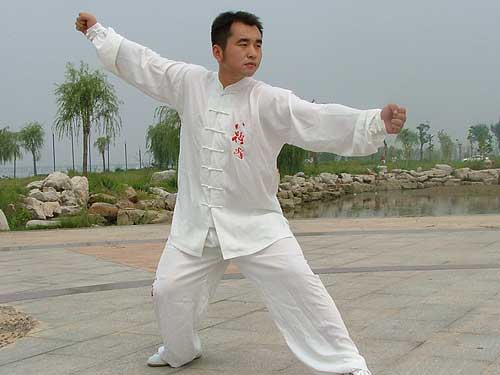 中华武术八极拳