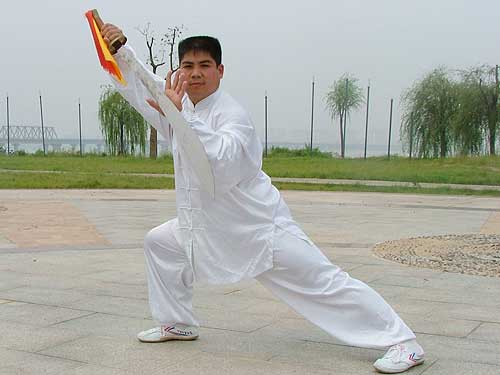 中华武术八极拳