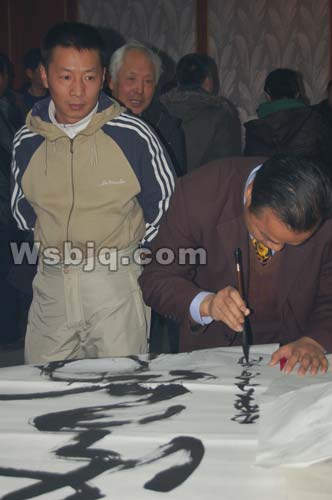 中华武术八极拳