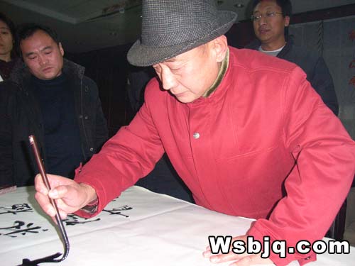 中华武术八极拳