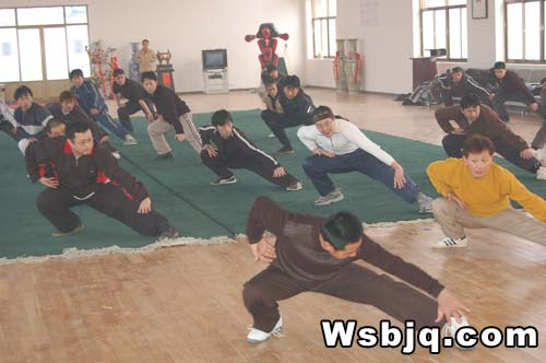 中华武术八极拳