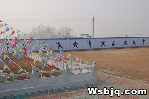 中华武术八极拳