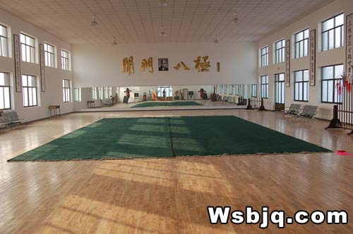 中华武术八极拳