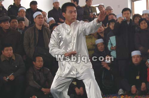 中华武术八极拳