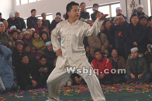 中华武术八极拳