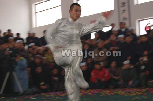 中华武术八极拳