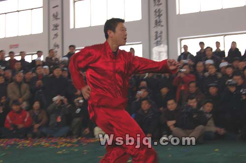 中华武术八极拳