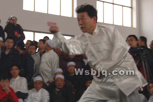 中华武术八极拳