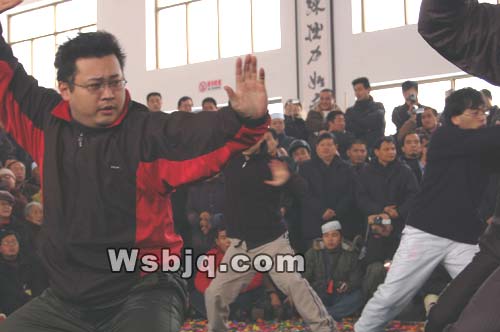 中华武术八极拳