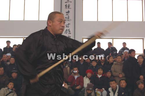 中华武术八极拳